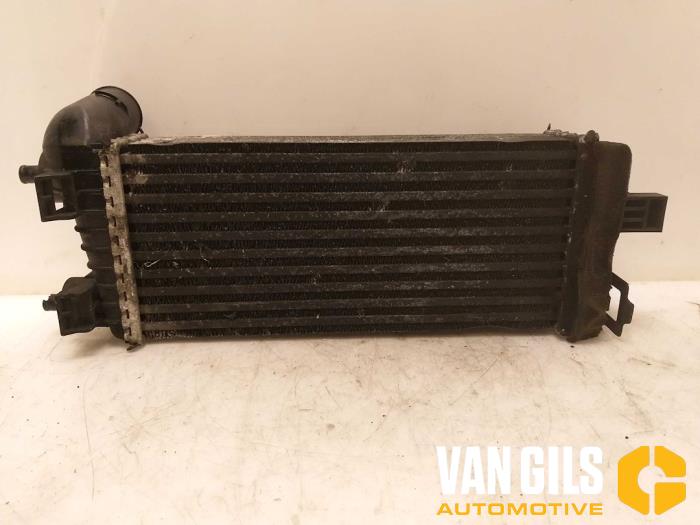 Used Intercooler Ford Grand C-Max (DXA) 1.0 Ti-VCT EcoBoost 12V 125 Price € 136,00 Margin scheme offered by Van Gils Automotive