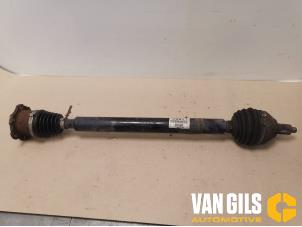 Usagé Arbre de transmission avant droit Volkswagen Polo IV (9N1/2/3) 1.4 TDI 80 Prix € 66,00 Règlement à la marge proposé par Van Gils Automotive