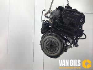 Usagé Moteur Ford Focus 2 Wagon 1.6 TDCi 16V 90 Prix € 649,99 Règlement à la marge proposé par Van Gils Automotive