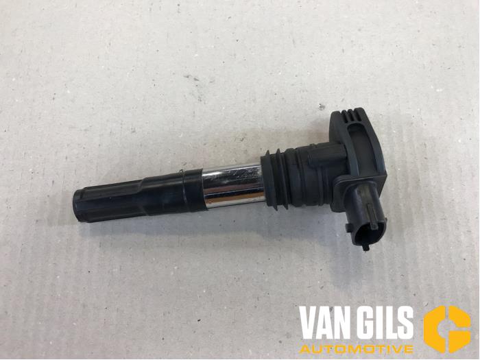 Usagé Broche bobine Ferrari 458 Spider 4.5 V8 32V DCT Prix € 142,00 Règlement à la marge proposé par Van Gils Automotive