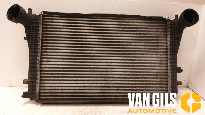 Usados Intercooler Volkswagen Golf Plus (5M1/1KP) 1.4 TSI 140 16V Precio € 100,00 Norma de margen ofrecido por Van Gils Automotive