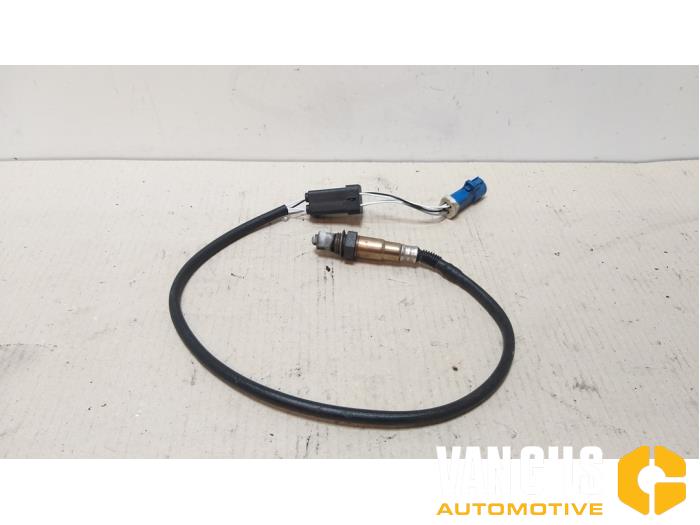 Usados Sonda Lambda Ford Focus 1 1.4 16V Precio € 20,00 Norma de margen ofrecido por Van Gils Automotive