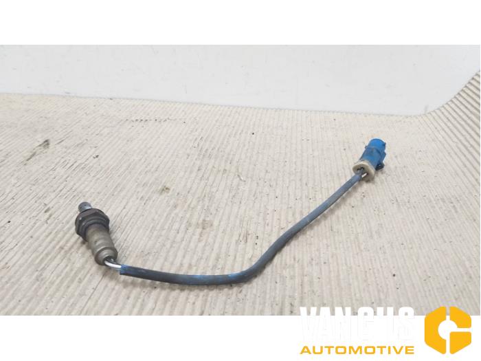 Usados Sonda Lambda Ford Focus 1 1.8 16V Precio € 20,00 Norma de margen ofrecido por Van Gils Automotive