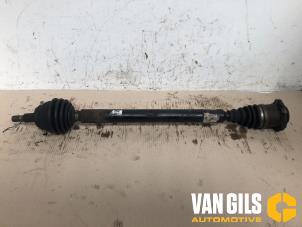 Used Front drive shaft, right Seat Leon (1M1) 1.6 16V Price € 74,99 Margin scheme offered by Van Gils Automotive