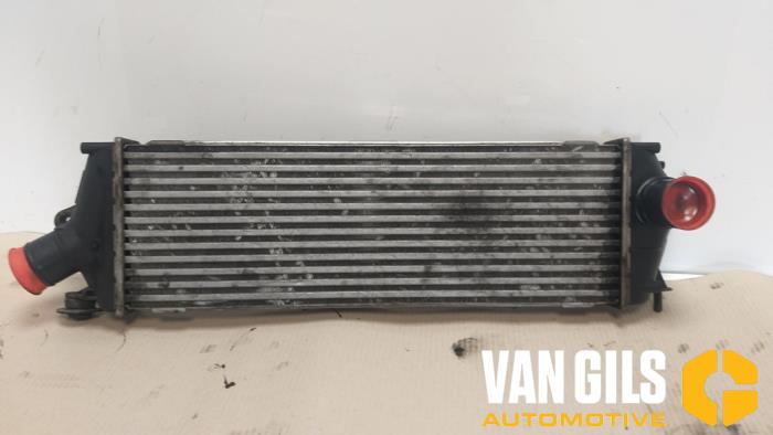 Used Intercooler Renault Trafic New (FL) 2.0 dCi 16V 90 Price € 60,00 Margin scheme offered by Van Gils Automotive