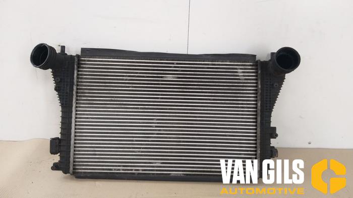 Usagé Intercooler Volkswagen Golf V (1K1) 2.0 TDI 16V Prix € 60,00 Règlement à la marge proposé par Van Gils Automotive