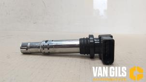 Usagé Bobine Volkswagen Polo IV (9N1/2/3) 1.2 12V Prix € 30,00 Règlement à la marge proposé par Van Gils Automotive