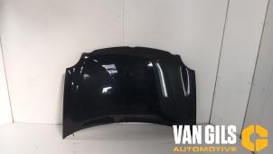 Usagé Capot Volkswagen Polo IV (9N1/2/3) 1.2 Prix € 100,00 Règlement à la marge proposé par Van Gils Automotive