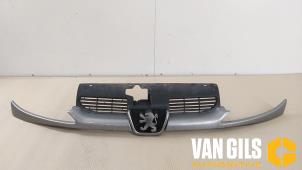 Gebrauchte Grill Peugeot 206 (2A/C/H/J/S) 1.4 XR,XS,XT,Gentry Preis € 40,00 Margenregelung angeboten von Van Gils Automotive
