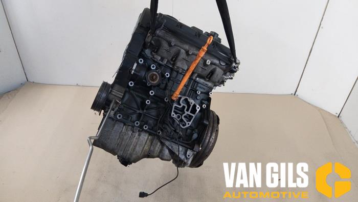 Usagé Moteur Volkswagen Passat (3B2) 1.9 TDi 115 Prix € 450,00 Règlement à la marge proposé par Van Gils Automotive