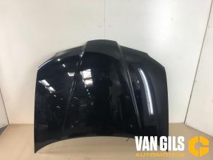 Używane Maska Mitsubishi Outlander (CU) 2.0 16V 4x2 Cena € 138,00 Procedura marży oferowane przez Van Gils Automotive