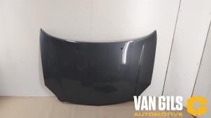 Used Bonnet Toyota Avensis Wagon (T25/B1E) 2.2 D-4D 16V D-CAT Price € 100,00 Margin scheme offered by Van Gils Automotive