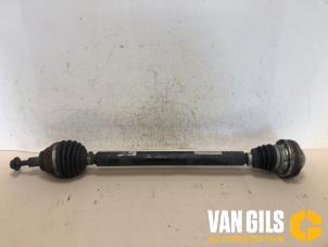 Used Front drive shaft, right Volkswagen Golf VII Variant (AUVV) 2.0 TDI 150 16V Price on request offered by Van Gils Automotive