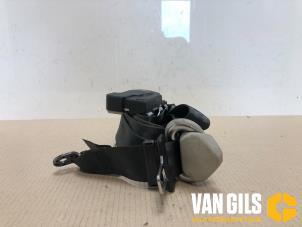 Used Front seatbelt, right Volkswagen Transporter T5 2.5 TDi PF Price on request offered by Van Gils Automotive