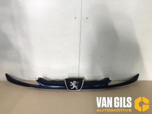 Usagé Calandre Peugeot 206 (2A/C/H/J/S) 1.4 XR,XS,XT,Gentry Prix € 30,00 Règlement à la marge proposé par Van Gils Automotive