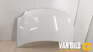 Usagé Capot Volkswagen Polo IV (9N1/2/3) 1.2 55 Prix € 100,00 Règlement à la marge proposé par Van Gils Automotive