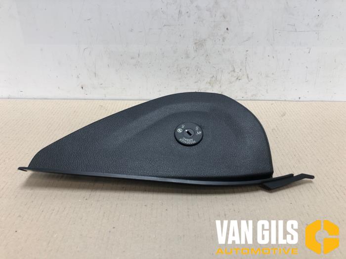 Dashboard trim details, covers