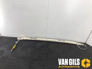 Used Roof curtain airbag, left Ford Focus C-Max 1.6 16V Price on request offered by Van Gils Automotive