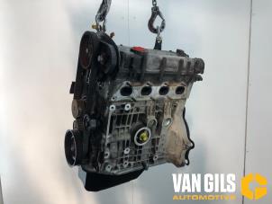 Usagé Moteur Volkswagen Golf VI (5K1) 1.4 16V Prix € 550,00 Règlement à la marge proposé par Van Gils Automotive