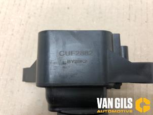 Stift Zündspule van een Renault Grand Scénic III (JZ) 1.4 16V TCe 130 2010