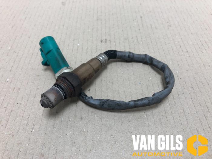 Usagé Sonde lambda Ford Focus 2 Wagon 1.6 16V Prix € 30,00 Règlement à la marge proposé par Van Gils Automotive