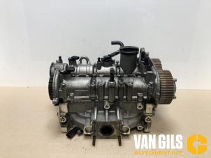 Usagé Tête de cylindre Volkswagen Polo VI (AW1) 1.0 TSI 12V Prix sur demande proposé par Van Gils Automotive