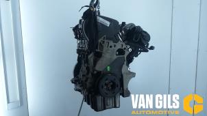 Used Engine Seat Altea (5P1) 2.0 FSI 16V Price € 999,99 Margin scheme offered by Van Gils Automotive