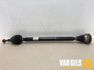 Used Front drive shaft, right Seat Leon (5FB) 1.2 TSI Ecomotive 16V Price € 149,99 Margin scheme offered by Van Gils Automotive