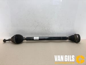 Usados Eje de transmisión derecha delante Volkswagen Passat Variant (365) 1.6 TDI 16V Bluemotion Precio de solicitud ofrecido por Van Gils Automotive