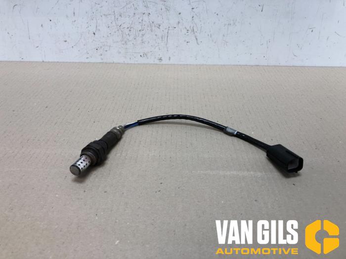 Usados Sonda Lambda Peugeot 106 II 1.1 XN,XR,XT,Accent Precio € 20,00 Norma de margen ofrecido por Van Gils Automotive
