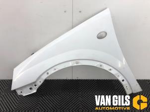 Used Front wing, left Opel Combo (Corsa C) 1.3 CDTI 16V Price € 65,00 Margin scheme offered by Van Gils Automotive