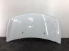 Renault Clio III (BR/CR) 1.2 16V Tce Motorhaube