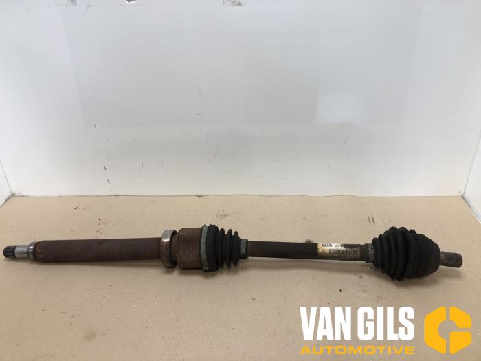 Gebrauchte Antriebswelle rechts vorne Ford Focus 2 1.4 16V Preis € 45,00 Margenregelung angeboten von Van Gils Automotive