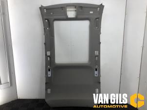 Used Headlining BMW 3 serie Touring (F31) 320i 2.0 16V Price on request offered by Van Gils Automotive
