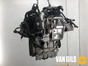 Gebrauchte Motor Volkswagen Polo VI (AW1) 1.0 TSI 12V BlueMotion Preis auf Anfrage angeboten von Van Gils Automotive