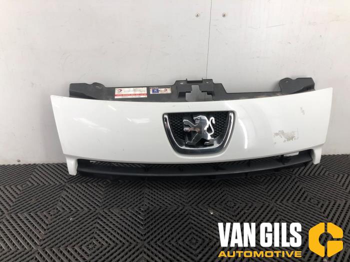 Używane Grill Peugeot Expert (G9) 1.6 HDi 90 Cena € 125,00 Procedura marży oferowane przez Van Gils Automotive