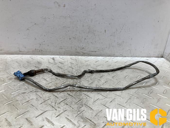 Usados Sonda Lambda Citroen C4 Grand Picasso (UA) 2.0 16V Autom. Precio € 30,00 Norma de margen ofrecido por Van Gils Automotive