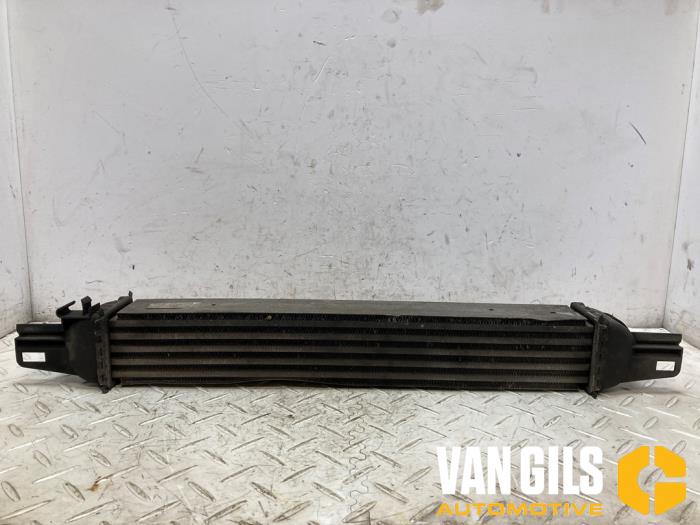 Usados Intercooler Citroen Nemo (AA) 1.4 HDi 70 Precio de solicitud ofrecido por Van Gils Automotive