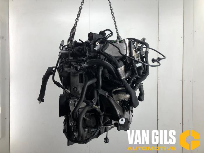 Used Engine Audi A4 (B9) 2.0 TDI 16V Price € 1.750,00 Margin scheme offered by Van Gils Automotive