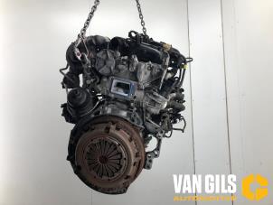 Usados Motor Citroen Berlingo 1.6 Hdi 16V 90 Precio € 1.724,99 Norma de margen ofrecido por Van Gils Automotive