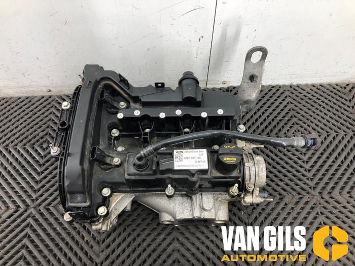 Usagé Culasse Ford Fiesta 7 1.1 Ti-VCT 12V 85 Prix € 499,99 Règlement à la marge proposé par Van Gils Automotive