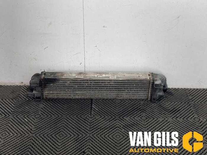 Usagé Intercooler Renault Trafic (1FL/2FL/3FL/4FL) 1.6 dCi 90 Prix € 125,00 Règlement à la marge proposé par Van Gils Automotive