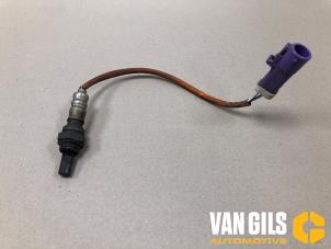 Usados Sonda Lambda Ford Fiesta 6 (JA8) 1.25 16V Precio de solicitud ofrecido por Van Gils Automotive