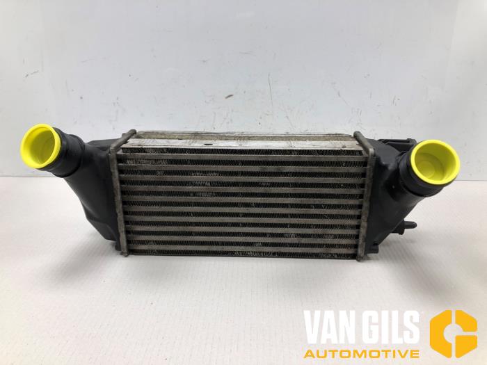 Usados Intercooler Ford Fiesta 6 (JA8) 1.0 EcoBoost 12V 125 Precio € 50,00 Norma de margen ofrecido por Van Gils Automotive