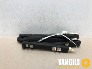 Used Roof curtain airbag, right Renault Scénic II (JM) 1.5 dCi 80 Price € 75,00 Margin scheme offered by Van Gils Automotive