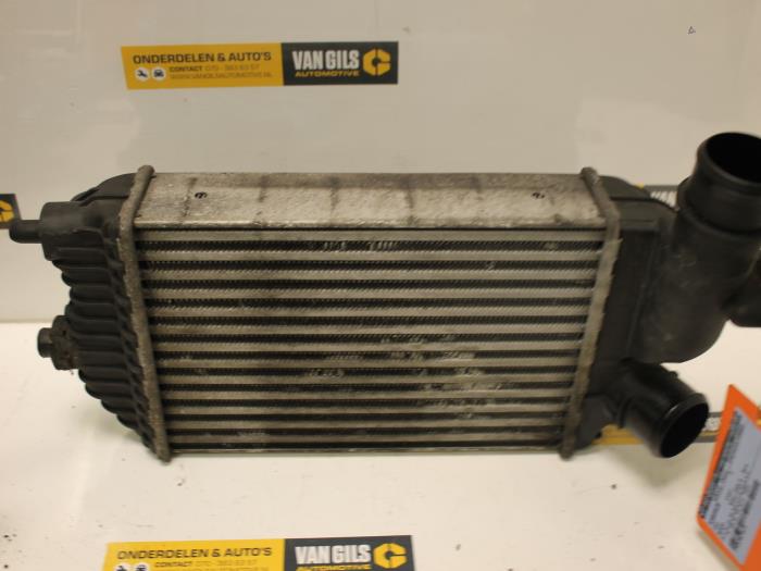 Intercooler Fiat Ducato (243/244/245/247), 2001 / 2011 2.3 JTD 16V, Camionnette , Diesel, 2.286cc, 81kW (110pk), FWD, F1AE0481C, 2001-12 / 2006-07 (Occasion)