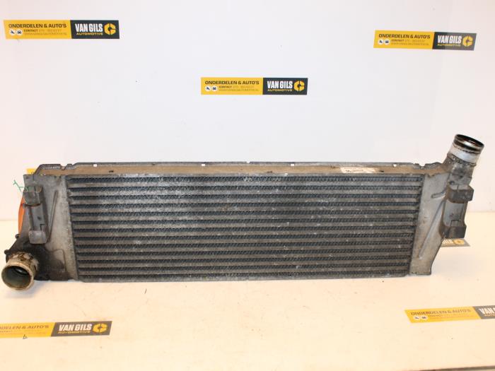 Usagé Echangeur air (Intercooler) Renault Megane II (BM/CM) 1.5 dCi 80 Prix € 60,00 Règlement à la marge proposé par Van Gils Automotive