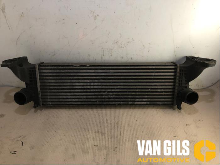 Used Intercooler Iveco New Daily V 35C15V, 40C15V Price € 200,00 Margin scheme offered by Van Gils Automotive