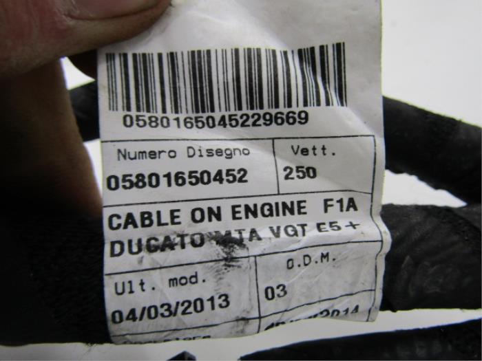 Faisceau de câbles d'un Fiat Ducato (250) 2.3 D 150 Multijet 2015