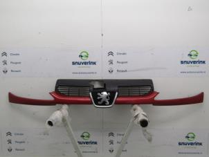 Used Grille Peugeot 206 (2A/C/H/J/S) 1.9 D Price € 40,00 Margin scheme offered by Snuverink Autodemontage